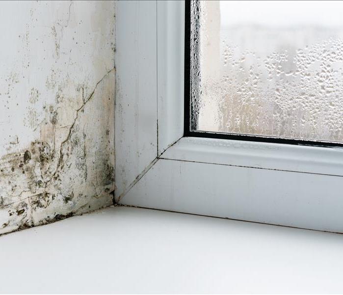 corner of moldy window with condensation
