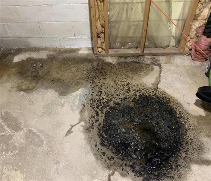 Sewage backup in basement of commercial office space