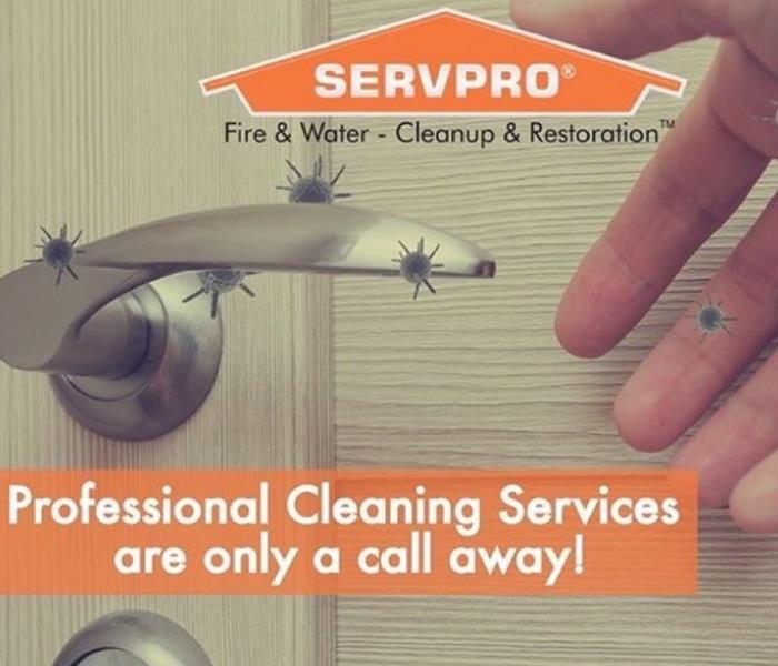 Professional cleaning services ad