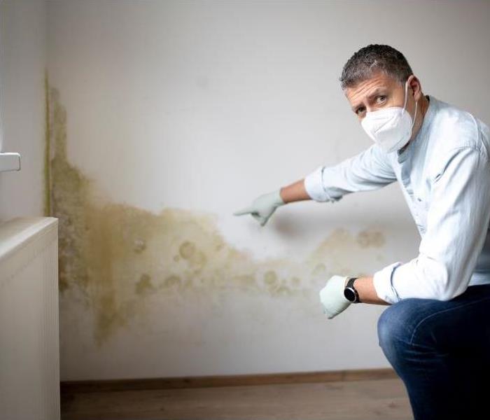 img src =”mold” alt = " work in gloves and a mask pointing out water damage and mold growth in a bathroom” >